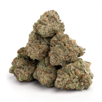 "Nahaufnahme von frischen Jack Herer Cannabis-Buds mit lebendigen grünen und orangen Farbtönen und einer frostigen Trichom-Schicht."