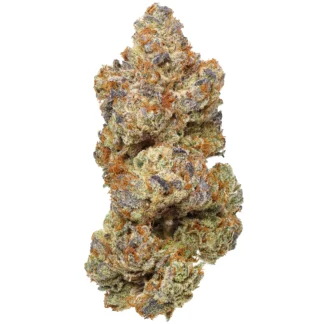 „Nahaufnahme von OG Kush Cannabis-Buds mit lebendigen grünen und orangen Farben.“