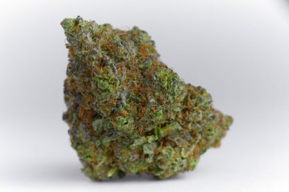 "Nahaufnahme von frischen Pineapple Express Cannabis-Buds mit lebendigen orangen Härchen und einer frostigen Trichom-Schicht."