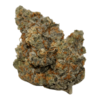 "Alien OG-Strain in großen Mengen kaufen – Premium Cannabis"
