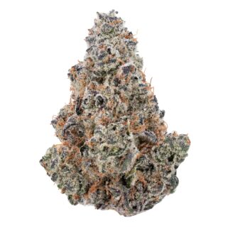 "AK-47 Strain Blüten und Samen in großen Mengen kaufen."