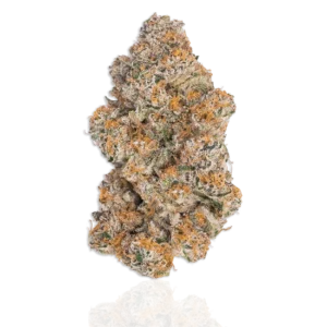 "Warum Durban Poison kaufen?" oder "Durban Poison online kaufen – Ihr Vorteil"