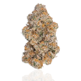 "Warum Durban Poison kaufen?" oder "Durban Poison online kaufen – Ihr Vorteil"