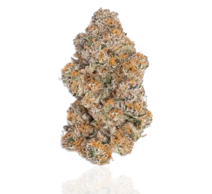 "Warum Durban Poison kaufen?" oder "Durban Poison online kaufen – Ihr Vorteil"
