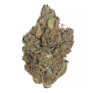 "Premium Runtz Strain Blüten und Samen online kaufen."